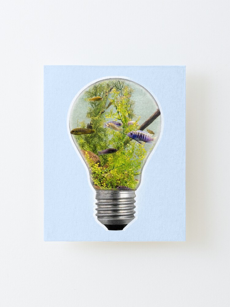 Alternate view of AQUARIUM LAMP Mounted Print
