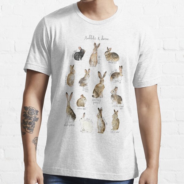 "Rabbits & Hares" Tshirt for Sale by AmyHamilton Redbubble rabbits