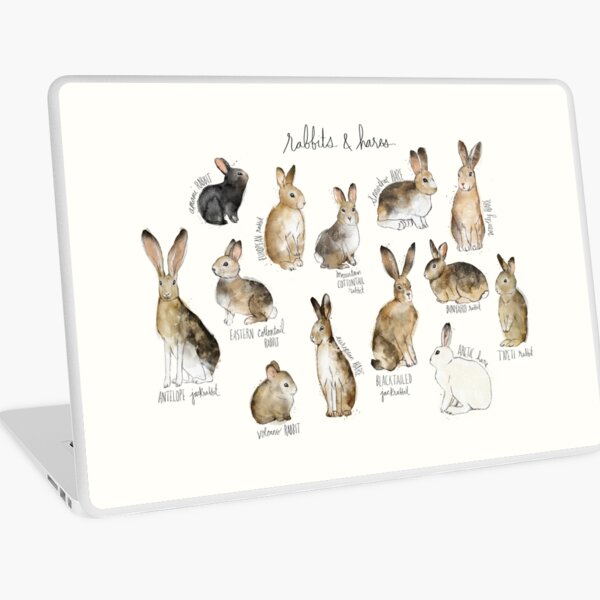 Kaninchen und Hasen Laptop Folie