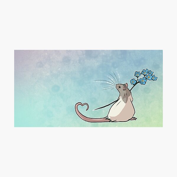 Forget Me Not Photographic Print