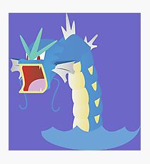 Angry Gyarados! Photographic Print