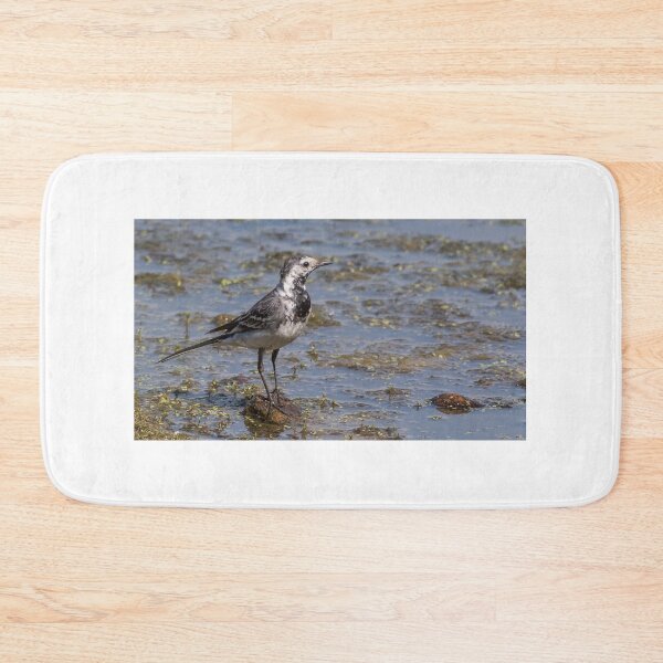Item preview, Pied Wagtail designed and sold by Adrian Rowley.