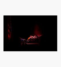 The Sensual World Photographic Print