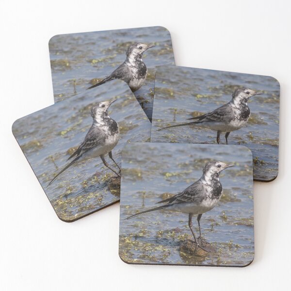 Item preview, Pied Wagtail designed and sold by Adrian Rowley.