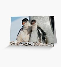Double Trouble Greeting Card