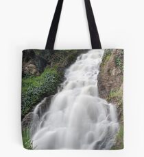 DSC_3665 Tote Bag