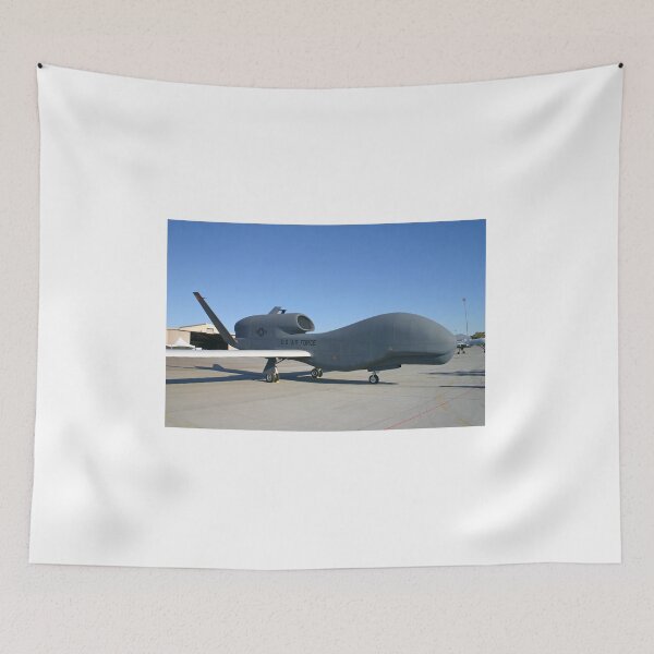 Item preview, Global Hawk drone designed and sold by mooneyes.