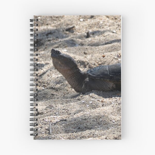 Item preview, Snapping Turtle in the Sand designed and sold by Kimmary.