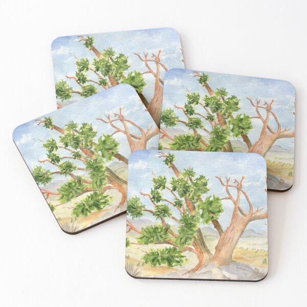 Item preview, Bristlecone Pine, White Mountains, CA designed and sold by Diane Hall Watercolors.