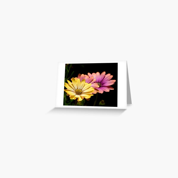 Two Together Greeting Card