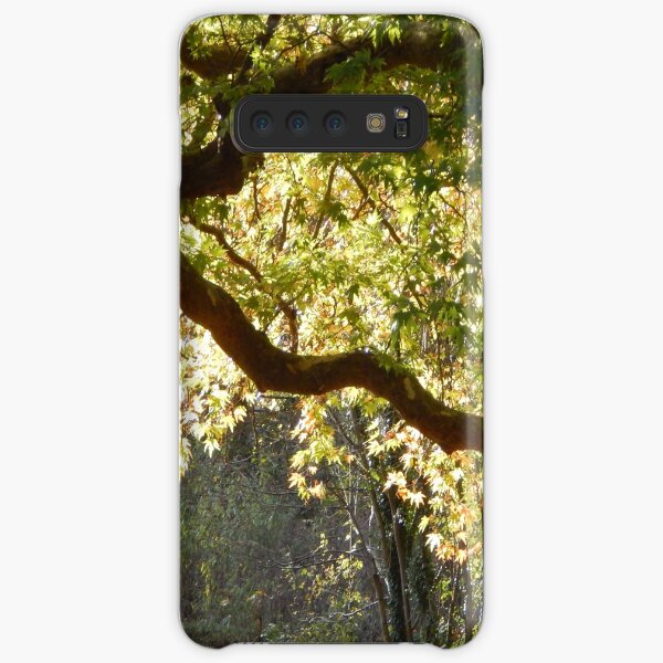 In a Sunlit Woods Samsung Galaxy Snap Case