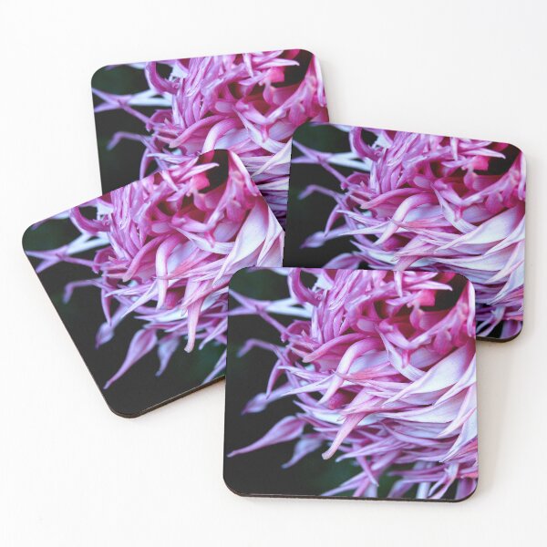 Item preview, Swirl designed and sold by WaterGardens.