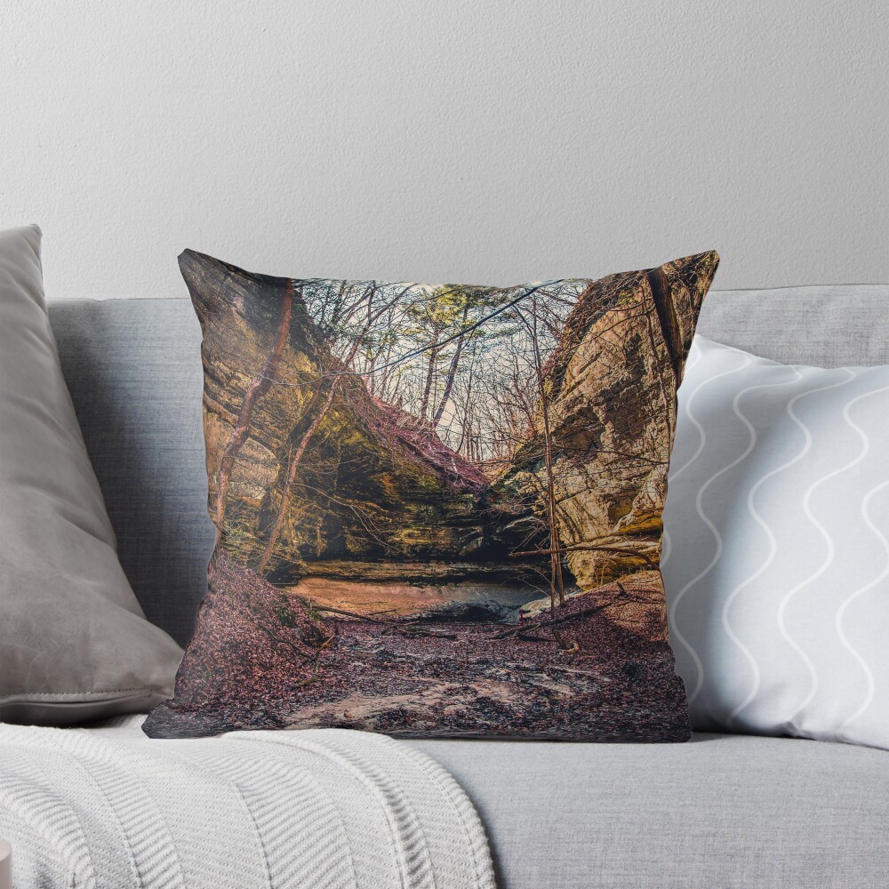 Item preview, Throw Pillow designed and sold by Anthonypresley.