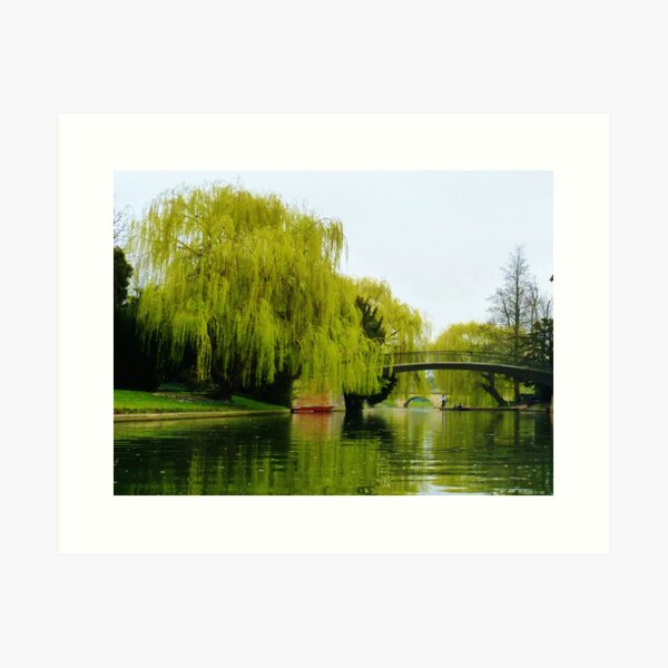 Punting, River Cam, Cambridge Art Print