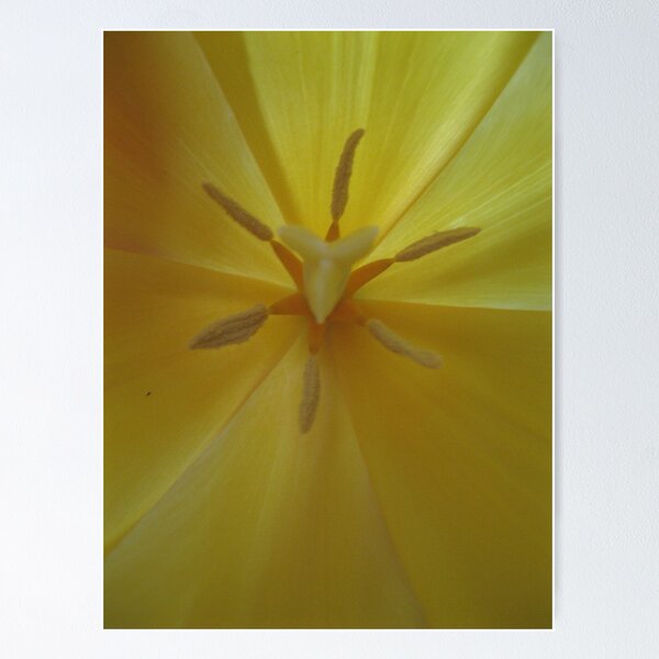 Item preview, Tulip # 2 designed and sold by abigcat.