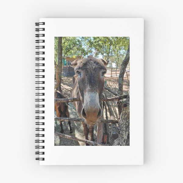 Item preview, Pretty face Cute Donkey Animal Photo designed and sold by WordWorld.