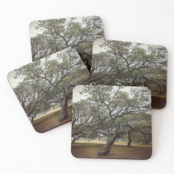 Item preview, Moody Morning designed and sold by Anthonypresley.
