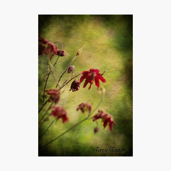 Emotion Photographic Print
