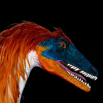 Artwork thumbnail, Utah Raptor by Rodney55