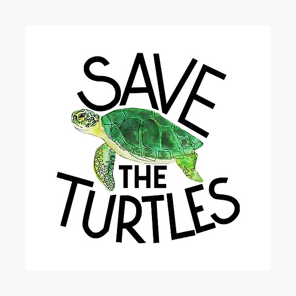 Save The Turtles | ubicaciondepersonas.cdmx.gob.mx