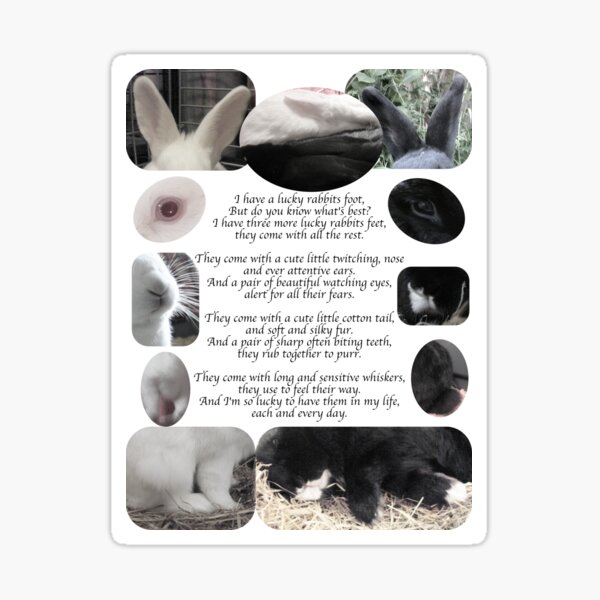 Lucky Rabbits feet Sticker