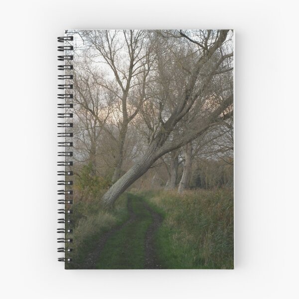 Item preview, Wooded path designed and sold by KMorral.