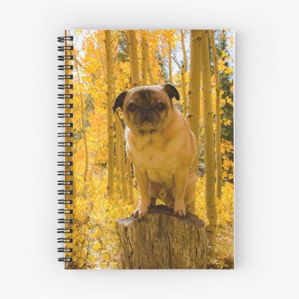 Item preview, Podium Pug in Autumn Aspen Glow designed and sold by pugventurephoto.