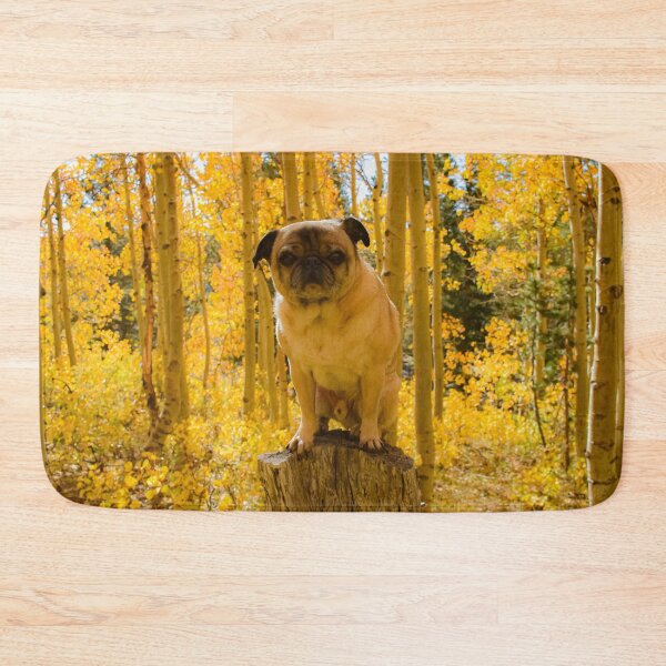 Item preview, Podium Pug in Autumn Aspen Glow designed and sold by pugventurephoto.