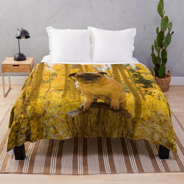 Item preview, Podium Pug in Autumn Aspen Glow designed and sold by pugventurephoto.