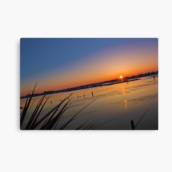 Look at it This Way Canvas Print