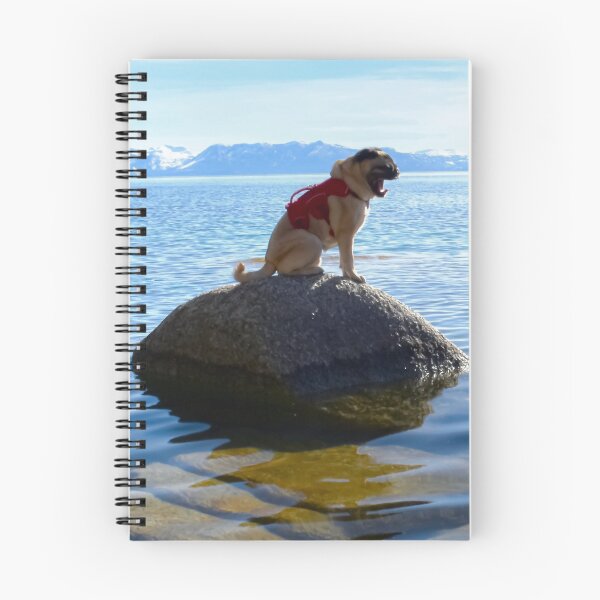 Item preview, Pug Slows Down to Island Time in Tahoe designed and sold by pugventurephoto.
