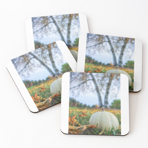 Item preview, Locally Grown White Pumpkin in the Grass with Leaves in Northern Michigan designed and sold by S S Photography.