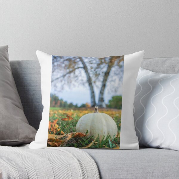 Item preview, Locally Grown White Pumpkin in the Grass with Leaves in Northern Michigan designed and sold by S S Photography.