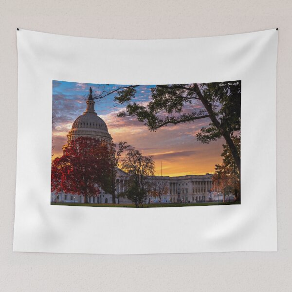 Item preview, The Capitol  designed and sold by Bernai Velarde.