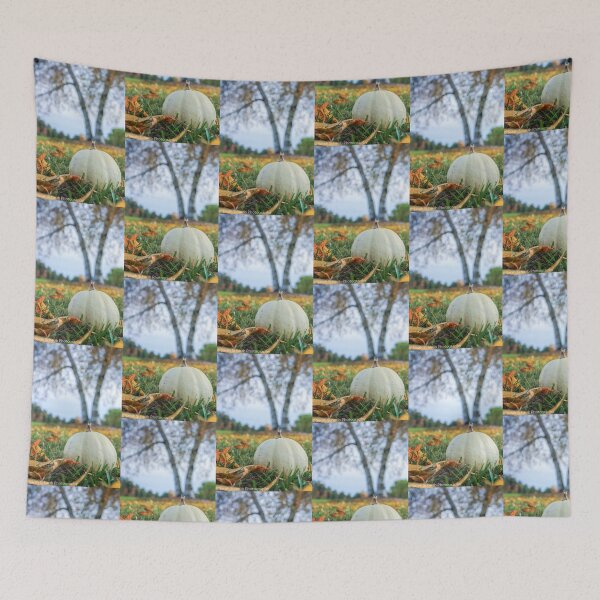 Item preview, Locally Grown White Pumpkin in the Grass with Leaves in Northern Michigan designed and sold by S S Photography.