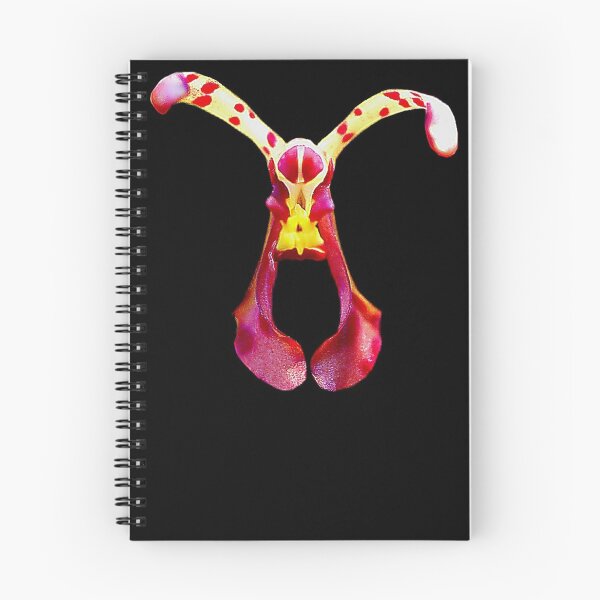 Item preview, Hangin' Around - Orchid Alien Discovery designed and sold by Ashley Cooke.