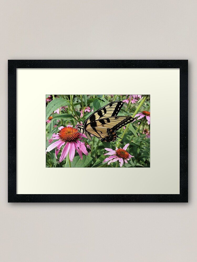 Alternate view of Butterfly Framed Art Print
