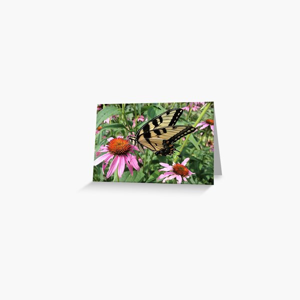 Butterfly Greeting Card