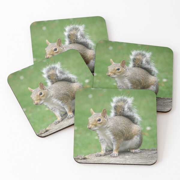 Item preview, Grey Squirrel on a Log Photograph designed and sold by naturegallery.