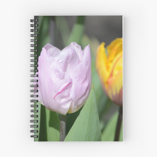 Item preview, Tulips designed and sold by Carla Maloco.