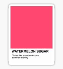 Watermelon Sugar- Pantone Sticker