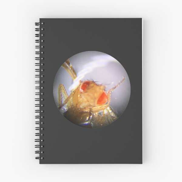 Item preview, Fruit Fly (Ronald) designed and sold by Squid-ink-art.