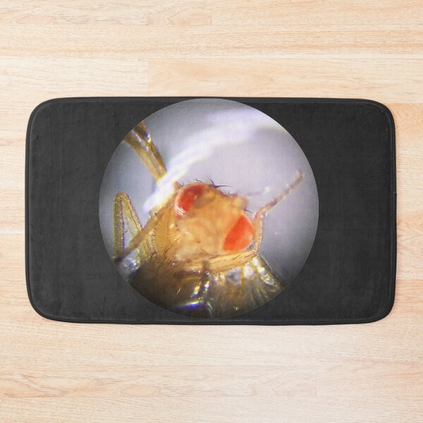 Item preview, Fruit Fly (Ronald) designed and sold by Squid-ink-art.