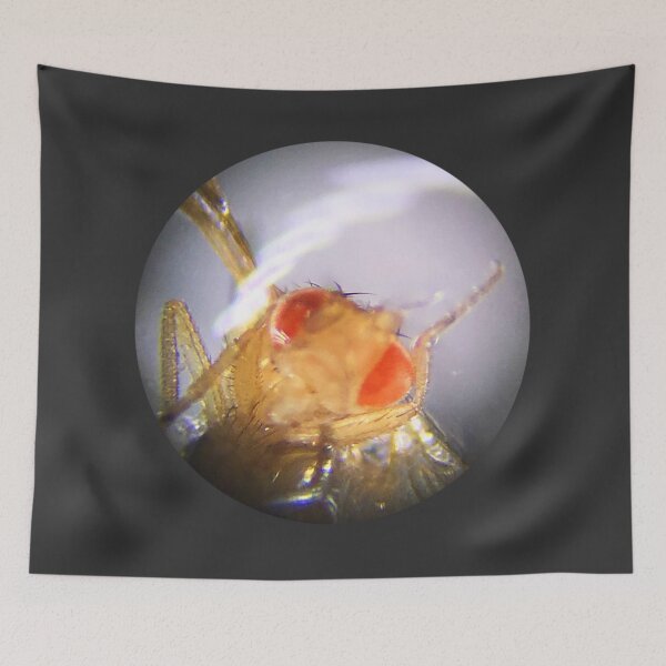 Item preview, Fruit Fly (Ronald) designed and sold by Squid-ink-art.