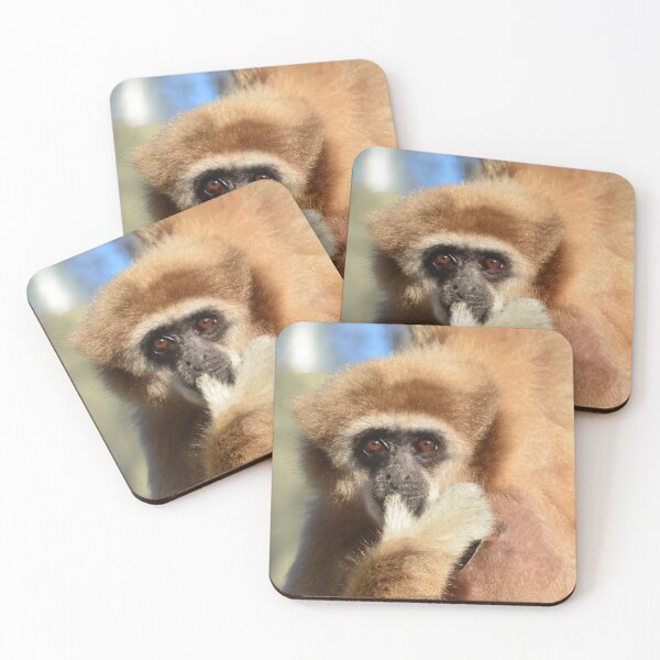 Item preview, Elliot designed and sold by Erin Koehler.