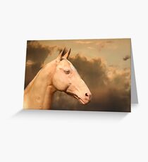 Achal-Teke horse Greeting Card