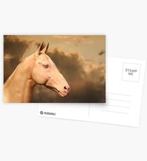 Achal-Teke horse Postcards