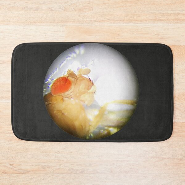 Item preview, Fruit Fly (Reggie) designed and sold by Squid-ink-art.