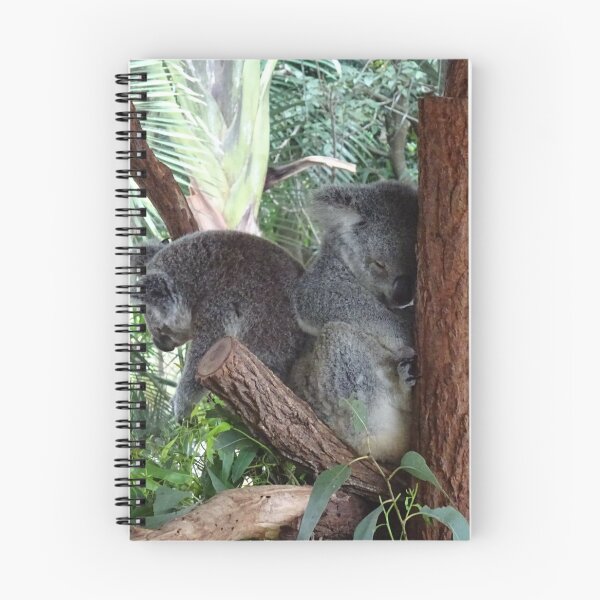 Artikelvorschau, Koalas entworfen und verkauft von CP-photography.