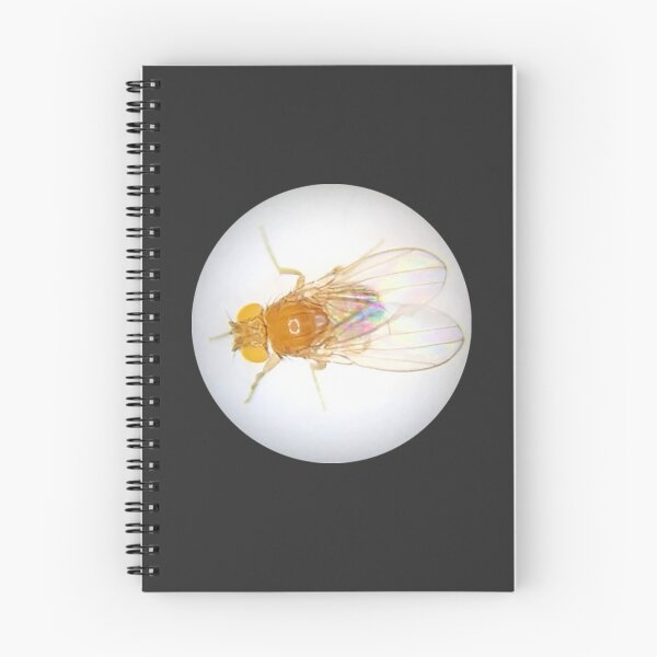 Item preview, Fruit Fly (Robbie) designed and sold by Squid-ink-art.